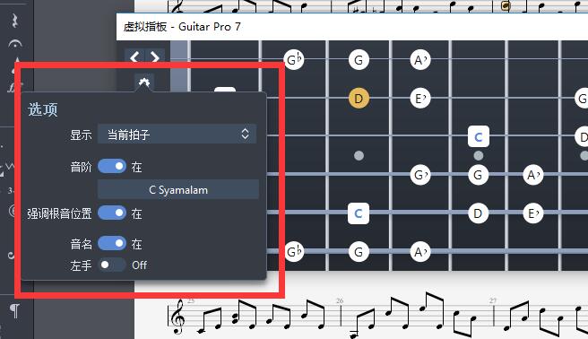 虚拟指板设置项