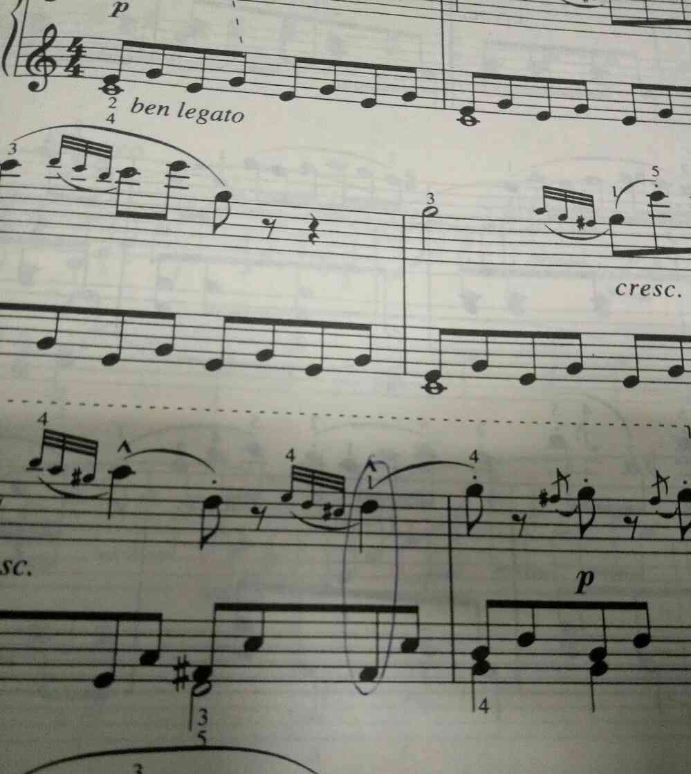 乐谱上的装饰音 乐谱上的装饰音