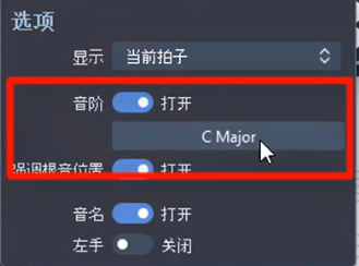 图2:选项界面